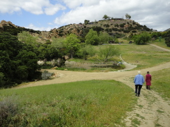 Enlarge photo 112