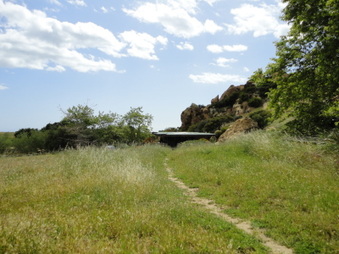 Enlarge photo 113