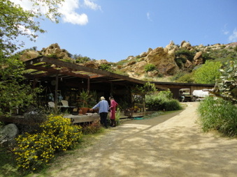 Enlarge photo 115
