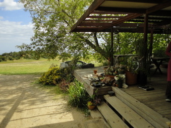 Enlarge photo 117