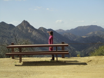 Enlarge photo 118