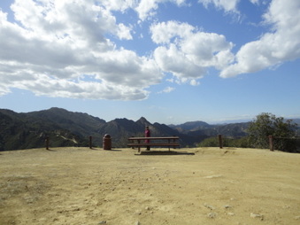 Enlarge photo 119