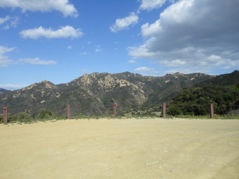 Enlarge photo 121