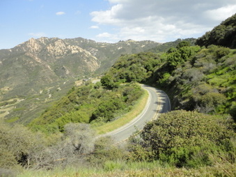 Enlarge photo 124