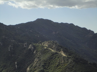 Enlarge photo 127
