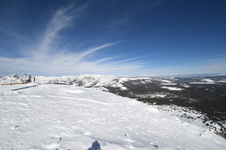 Enlarge photo 47