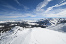 Enlarge photo 51