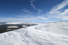 Enlarge photo 60