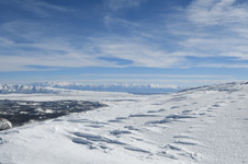 Enlarge photo 61
