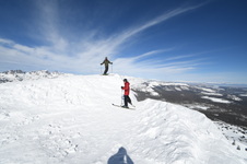 Enlarge photo 71