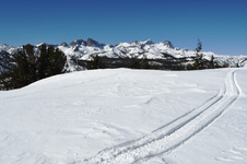 Enlarge photo 13