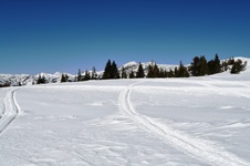 Enlarge photo 17