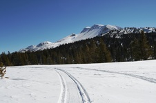 Enlarge photo 19