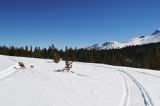 Enlarge photo 20