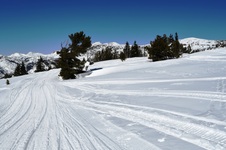 Enlarge photo 21