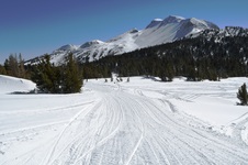 Enlarge photo 25