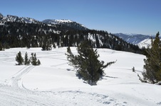 Enlarge photo 27