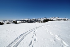 Enlarge photo 2