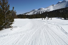 Enlarge photo 34