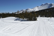 Enlarge photo 35