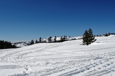 Enlarge photo 39