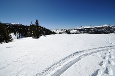 Enlarge photo 4