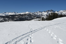 Enlarge photo 7