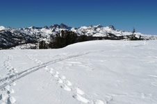 Enlarge photo 8