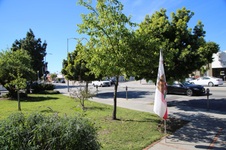 Enlarge photo 15