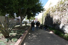 Enlarge photo 12