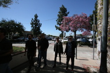 Enlarge photo 13