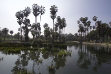 Enlarge photo 12