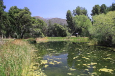 Enlarge photo 2