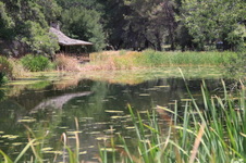 Enlarge photo 4