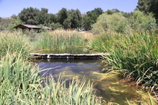 Enlarge photo 10