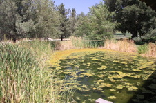 Enlarge photo 11