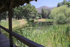 Enlarge photo 13