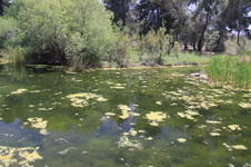 Enlarge photo 14