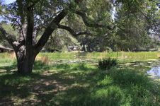 Enlarge photo 15