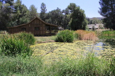 Enlarge photo 17