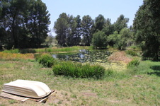 Enlarge photo 19