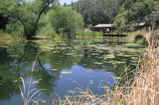 Enlarge photo 20