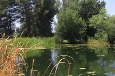Enlarge photo 21