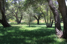 Enlarge photo 24