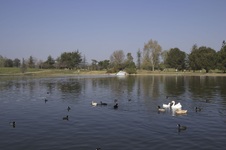 Enlarge photo 16