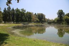 Enlarge photo 7