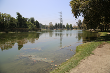Enlarge photo 8