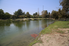 Enlarge photo 13
