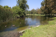 Enlarge photo 15