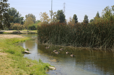 Enlarge photo 16
